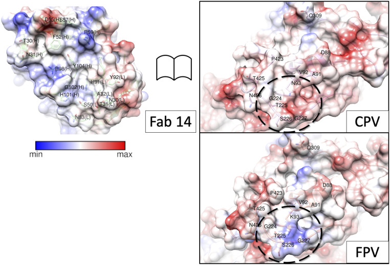 Fig. 6.