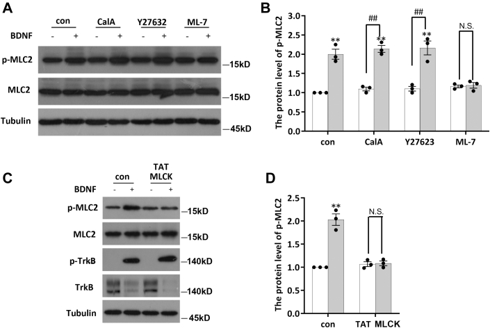 Figure 2