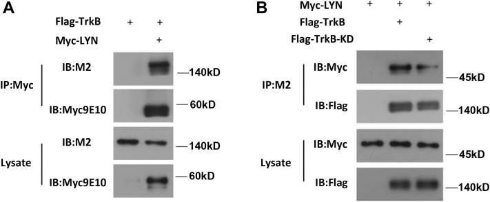 Figure 6