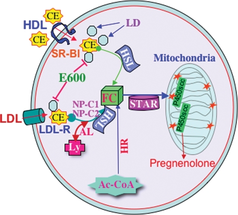 Figure 3