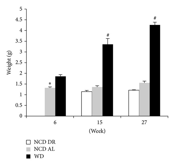 Figure 6