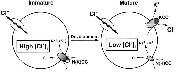 Fig. 9.