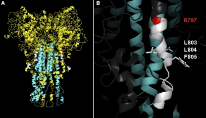 FIG. 10.