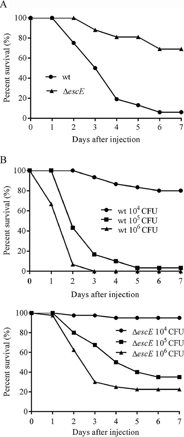 FIG 6