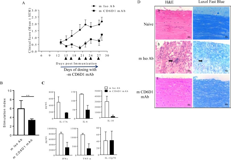 Fig 8