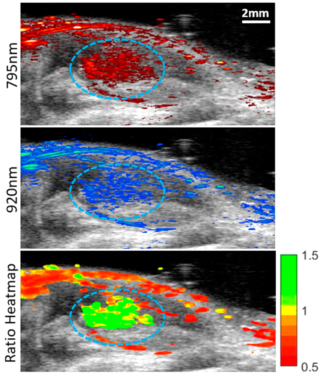 Figure 6.