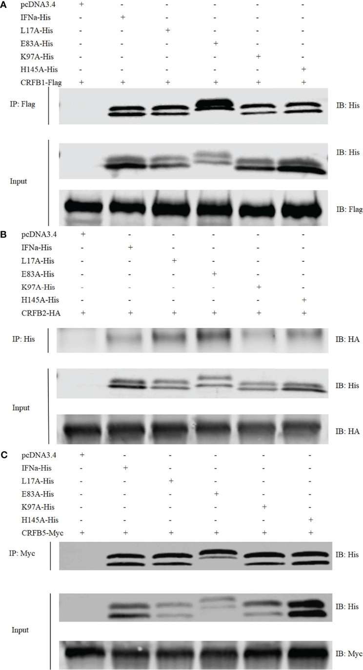 Figure 7