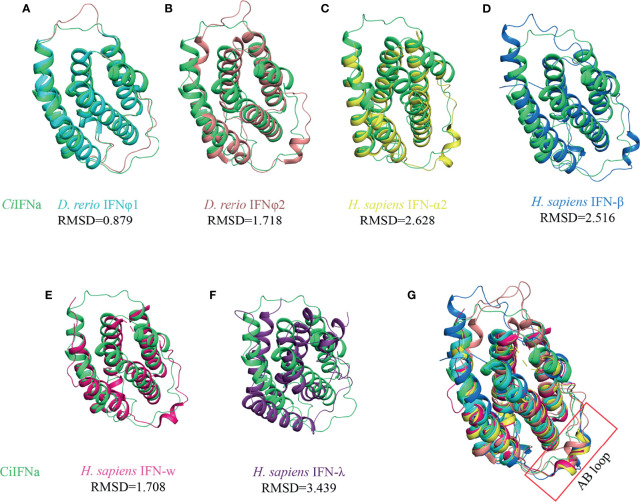 Figure 4