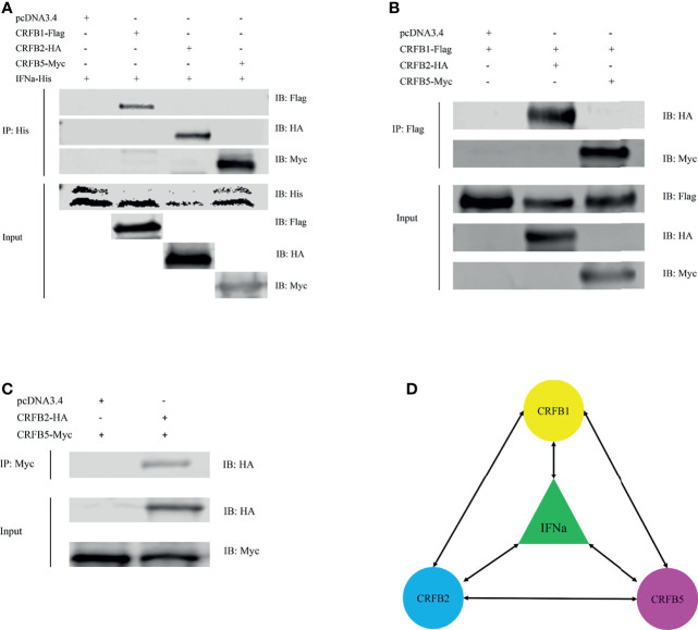 Figure 6