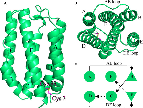 Figure 3