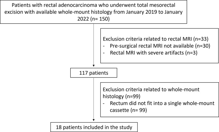 Flowchart of patient inclusion. This retrospective study included consecutive patients with rectal adenocarcinoma who underwent total mesorectal excision at our institution from January 2019 to January 2022 and who had available whole-mount histology (WMH) specimens. The exclusion criteria were as follows: WMH slices not fitting into a single whole-mount cassette, presurgical MRI data unavailable, and severe restaging MRI artifacts.