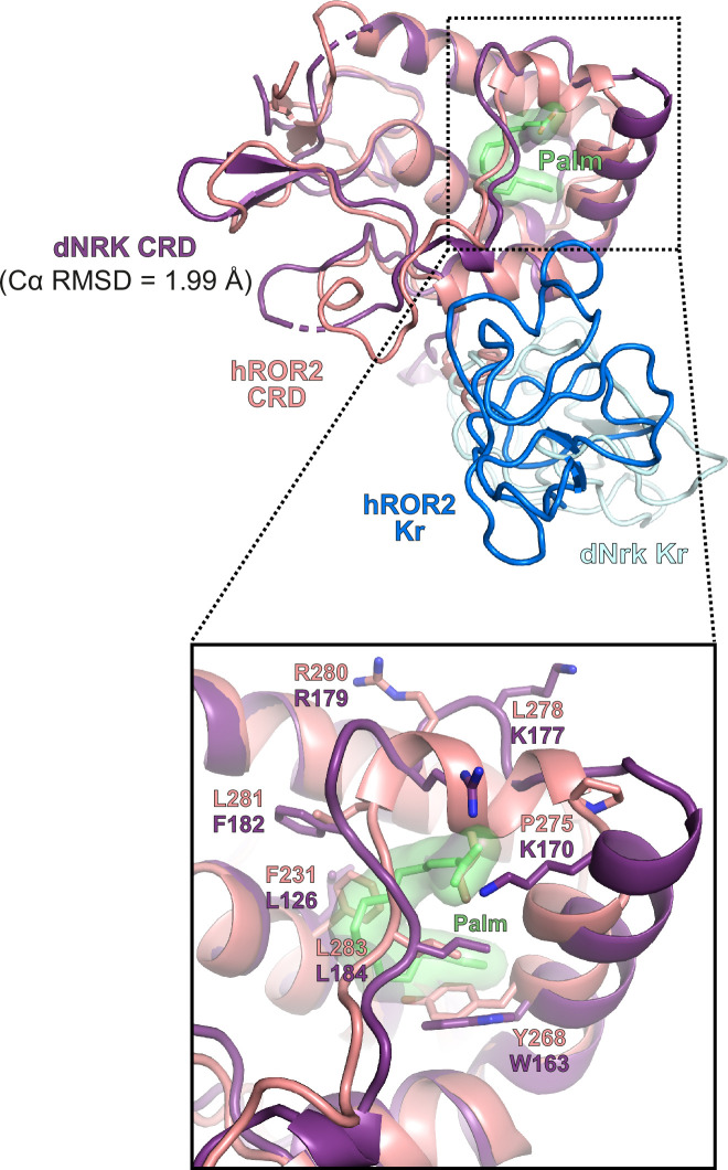 Figure 2—figure supplement 2.