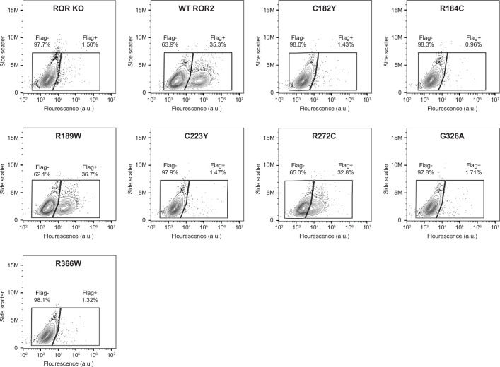 Figure 5—figure supplement 2.