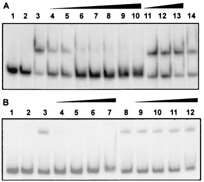 FIG. 5.