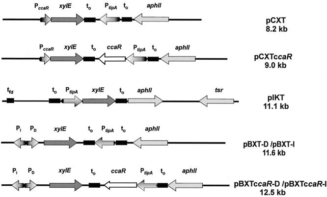 FIG. 7.