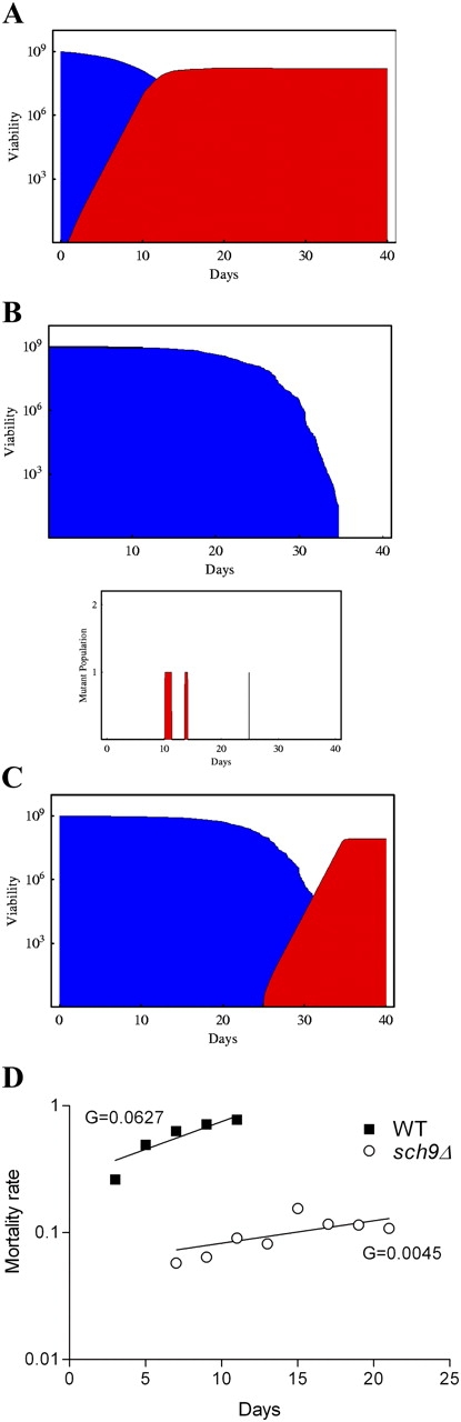 Figure 9.