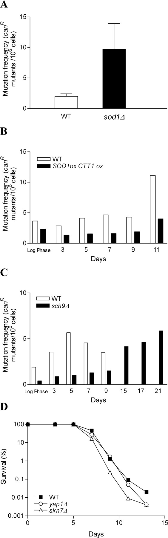 Figure 7.