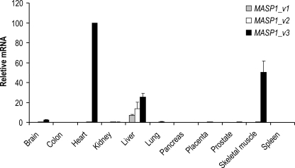 FIGURE 3.