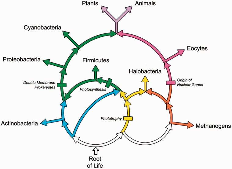 Fig. 1.—