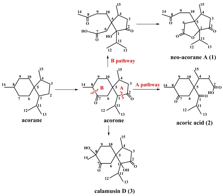 Scheme 1