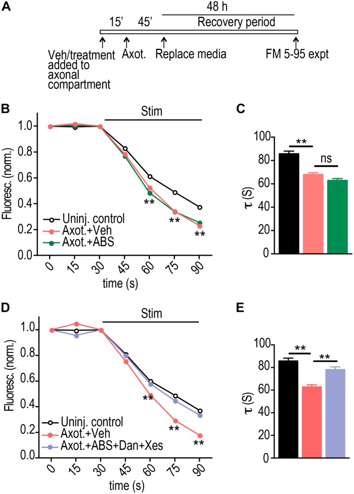 FIGURE 3