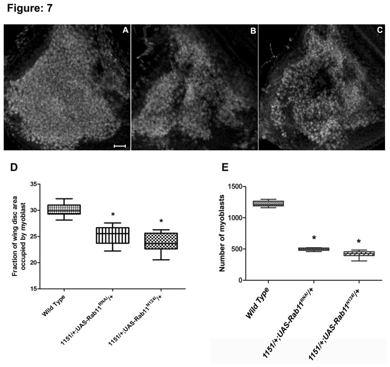 Figure 7