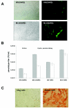 FIG. 6.