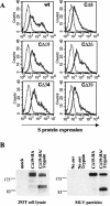 FIG. 2.