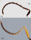 Figure 40