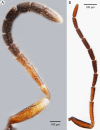 Figure 49