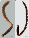 Figure 16