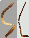 Figure 23