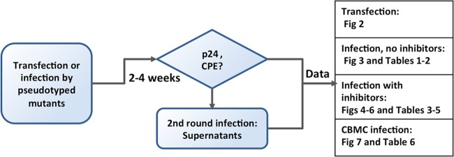 FIG 1