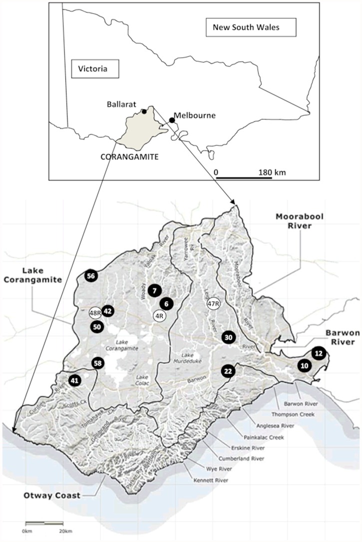 Fig 1