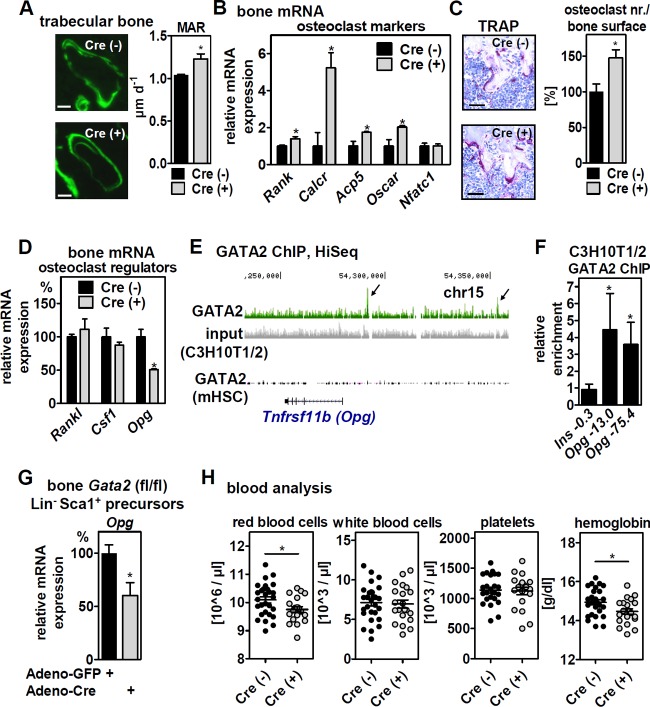 FIG 6