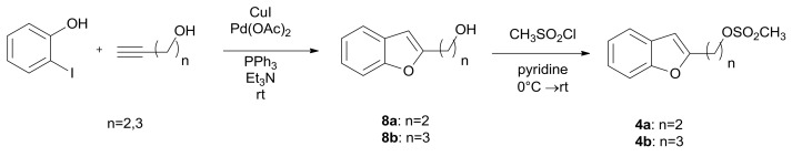 Scheme 3