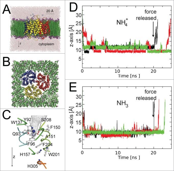 Figure 2.