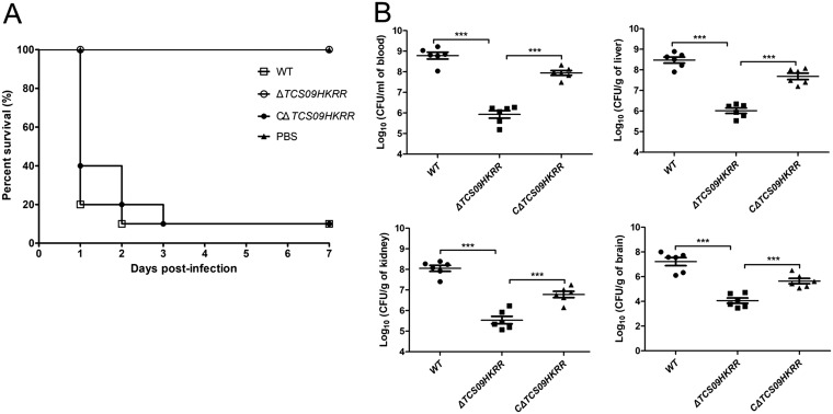 FIG 3