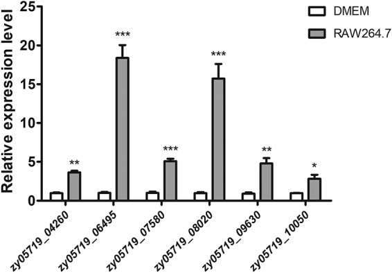 FIG 1