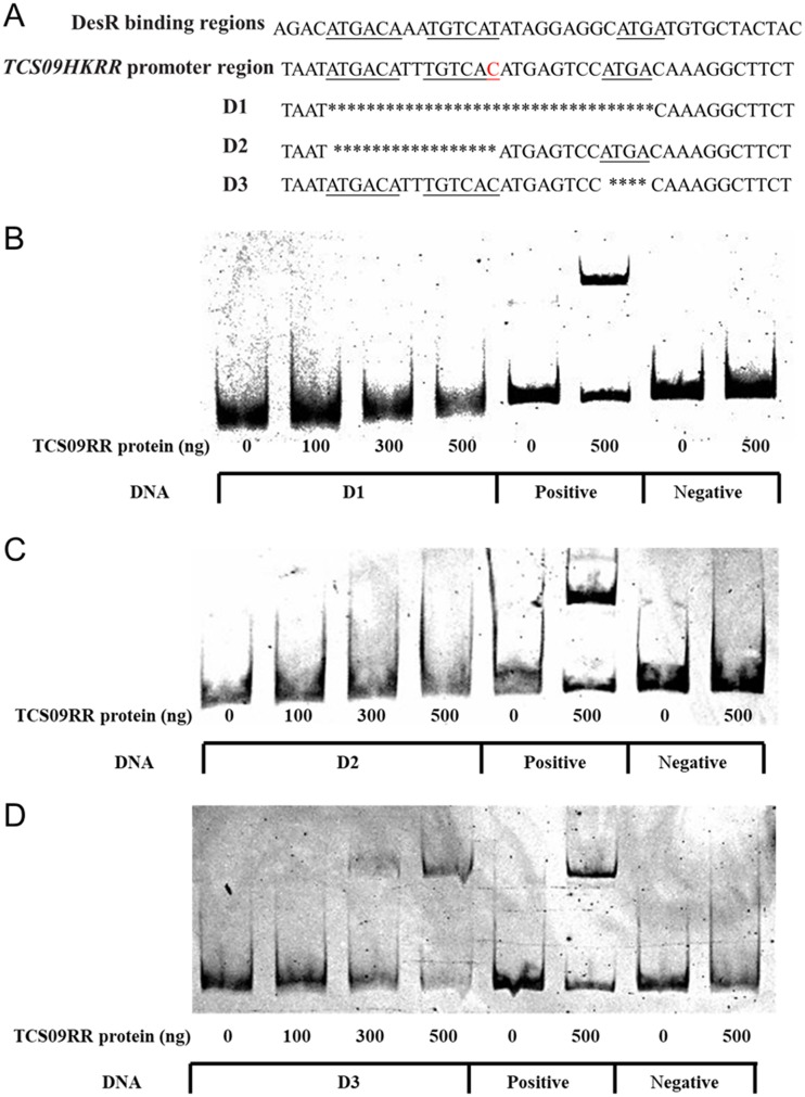 FIG 7