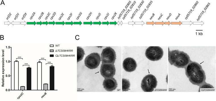 FIG 5