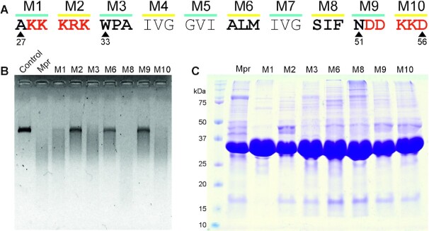 Figure 6.