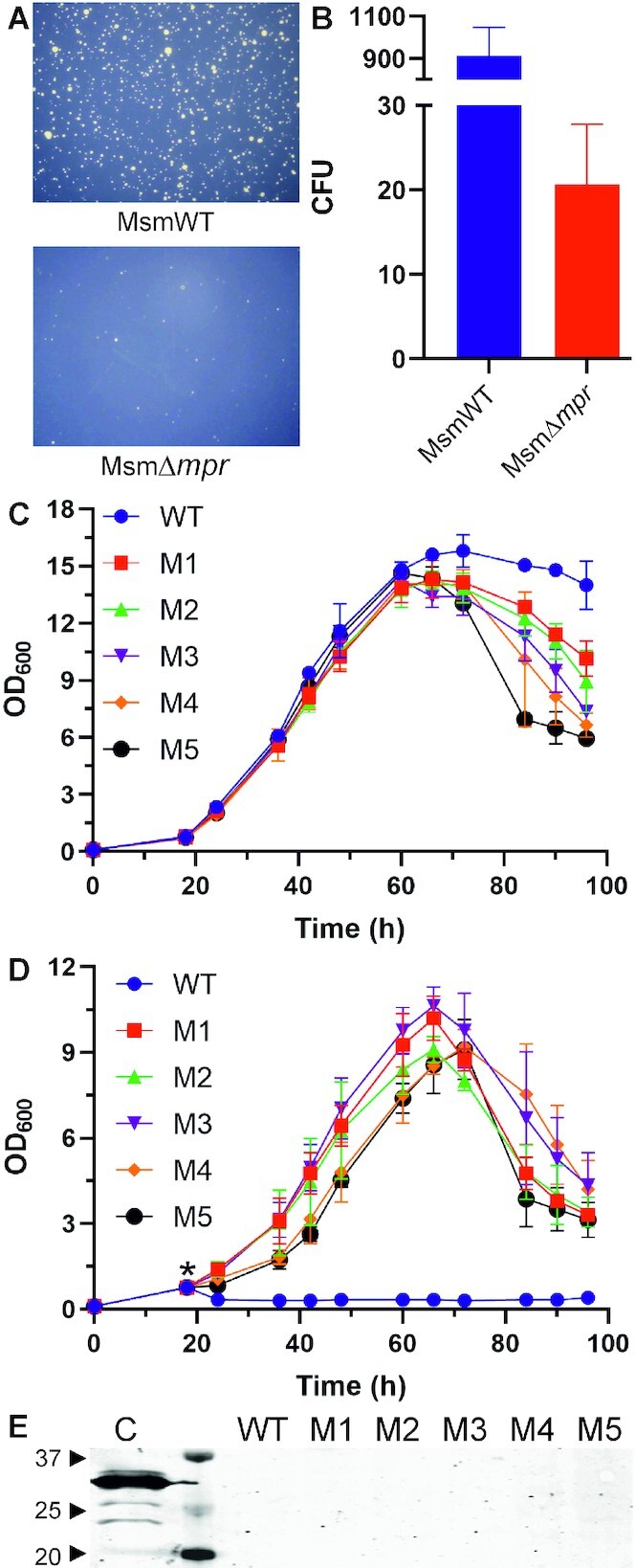 Figure 10.