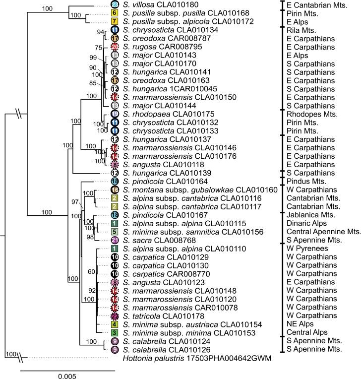 Figure 4.