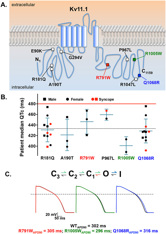 Figure 5.