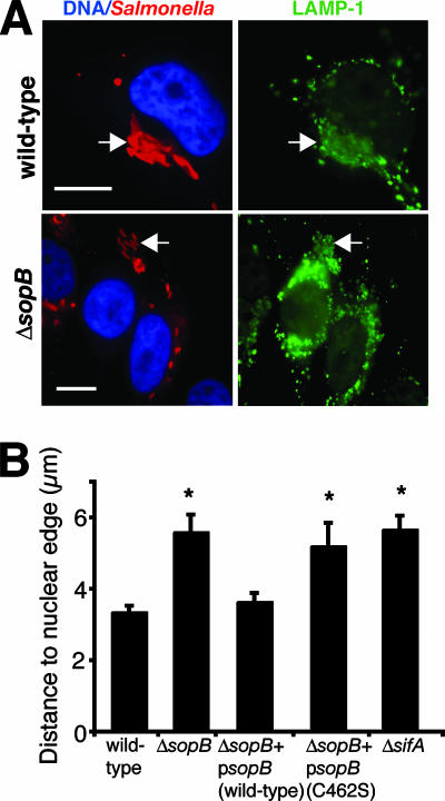 FIG. 6.