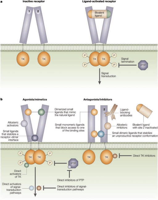 Fig. 16.