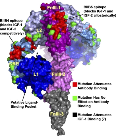 Fig. 15.