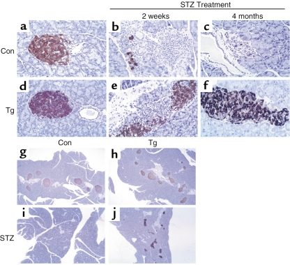 Fig. 10.