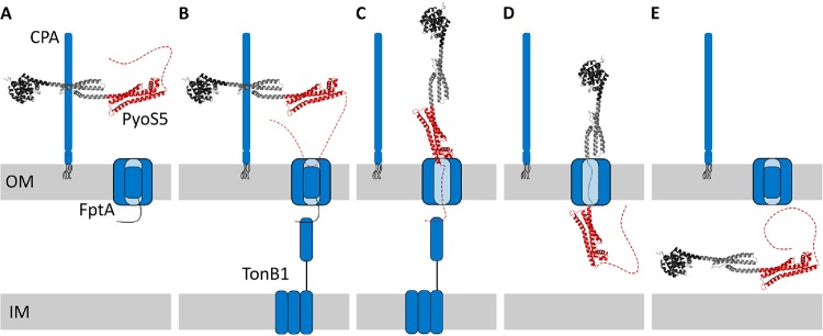 FIG 5